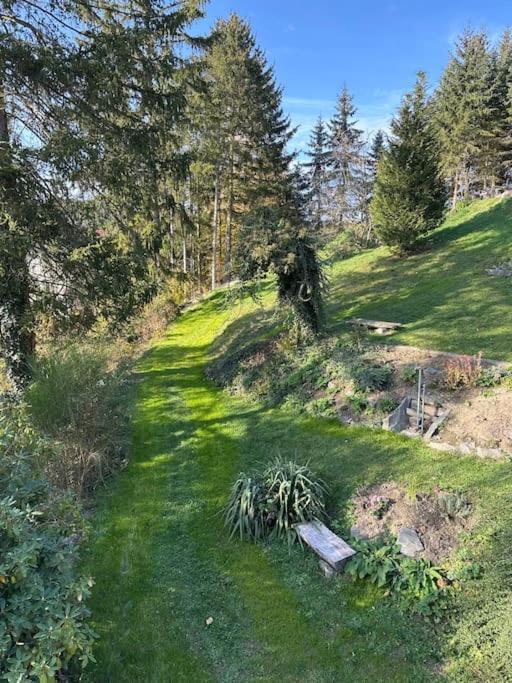 Exclusiv Im Erzgebirge Lejlighed Amtsberg Eksteriør billede